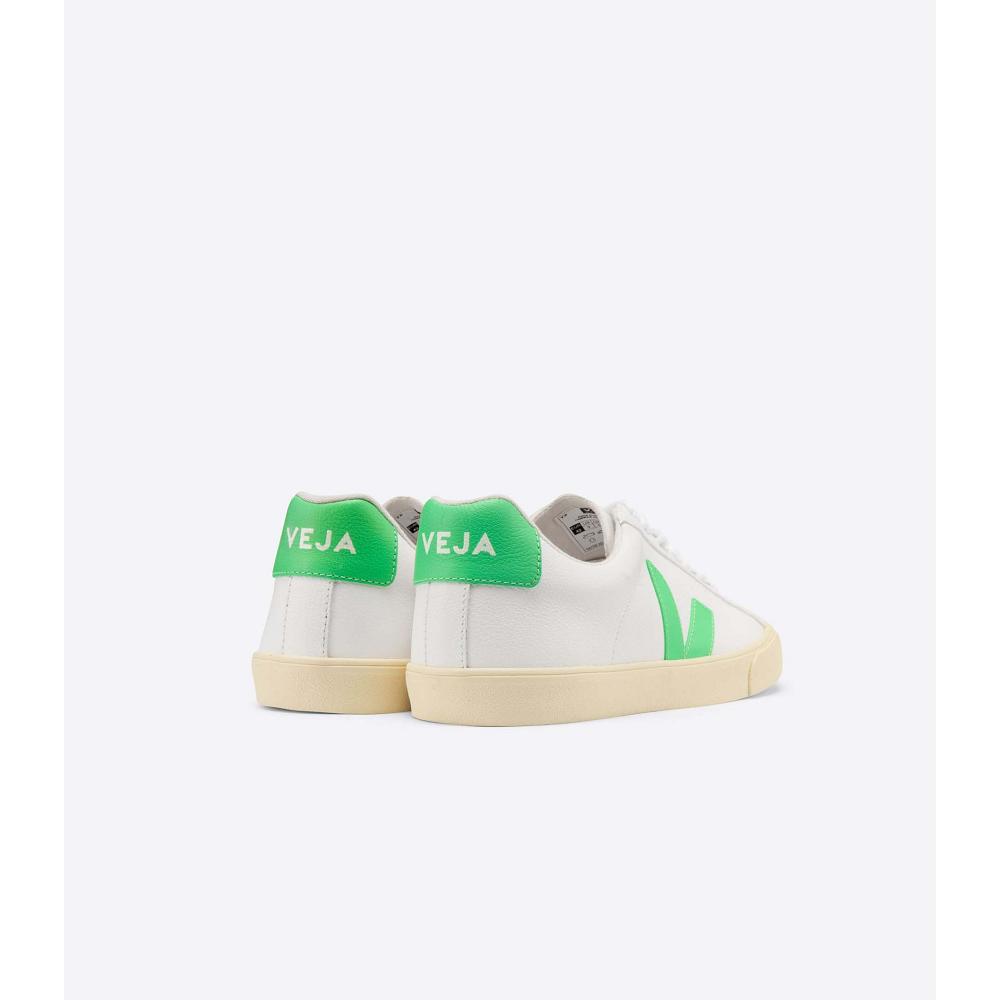 Veja ESPLAR CHROMEFREE BUTTER-SOLE Sneakers Heren Wit | BE 301BEX